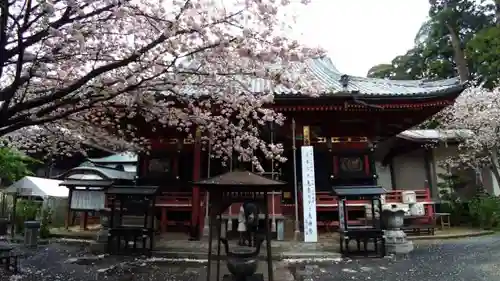 楽法寺（雨引観音）の本殿・本堂