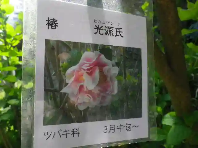 光則寺のその他建物