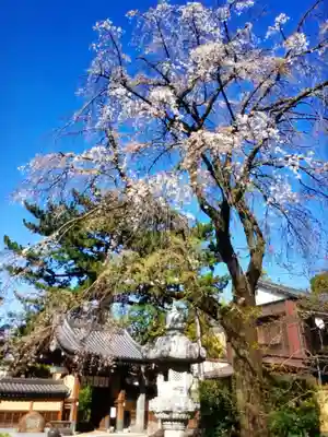 玄国寺(東京都)