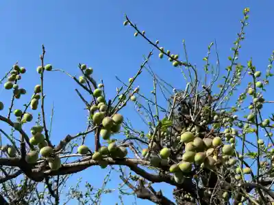 貴布禰神社(静岡県)