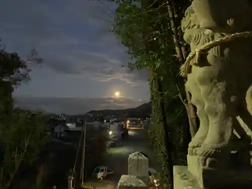 川田八幡神社の狛犬