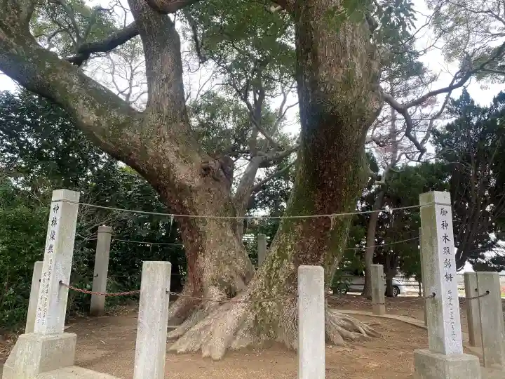 高田八幡神社の{uncategorized: "未分類", other: "その他", undefined: "問題あり", building: "その他建物", grave: "お墓", sacred_gate: "鳥居", guardian: "狛犬", statue: "像", buddha: "仏像", history: "歴史", nature: "自然", garden: "庭園", animal: "動物", pagoda: "塔", temizu: "手水舎", mountain_gate: "山門・神門", sanctuary: "本殿・本堂", subordinate: "末社・摂社", art: "芸術", scenery: "景色", jizo: "地蔵", ema: "絵馬", goshuin: "御朱印", omikuji: "おみくじ", items: "授与品その他", amulet: "お守り", goshuincho: "御朱印帳", eats: "食事", festival: "お祭り", votive_dance: "神楽", shichigosan: "七五三参", wedding: "結婚式", experience: "体験その他", initially: "初詣", around: "周辺", anti_infection: "感染症対策"}