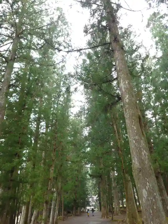 大斎原(熊野本宮大社旧社地)(和歌山県)