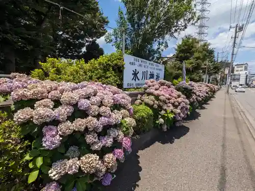 相模原氷川神社(神奈川県)
