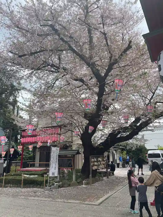 居木神社の自然