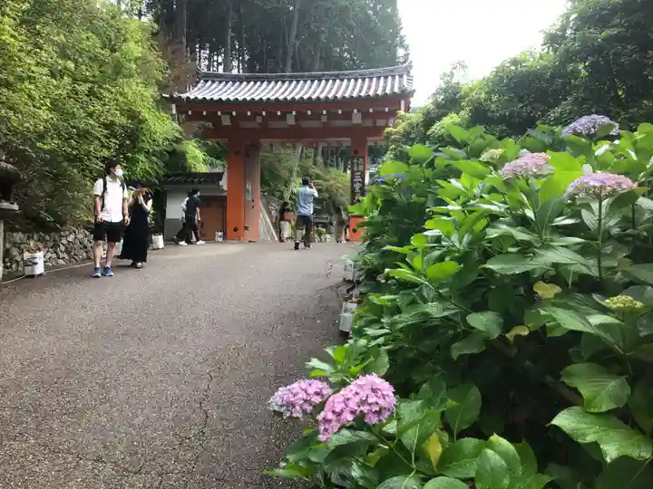 三室戸寺のその他建物