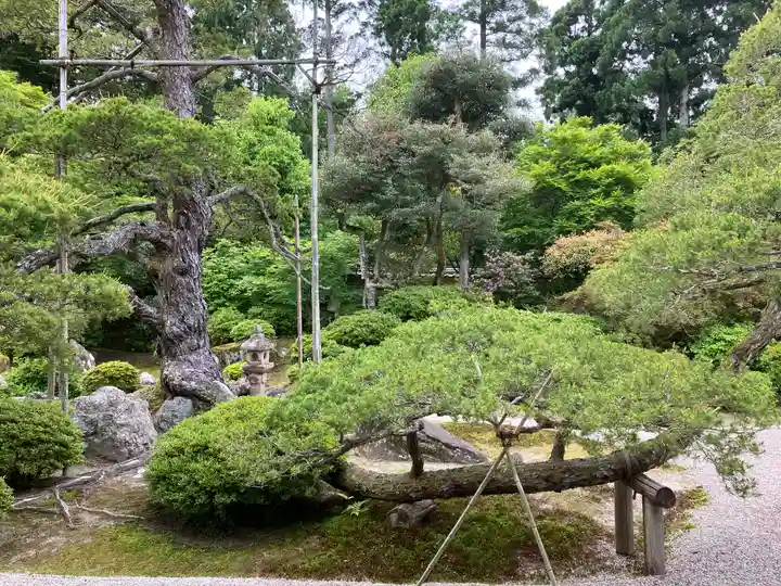 曼殊院門跡(京都府)