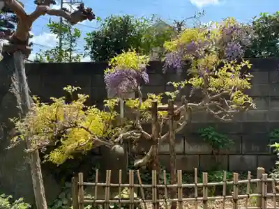 医王寺(千葉県)