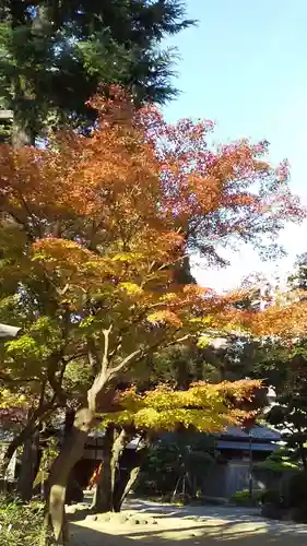 根津神社の自然