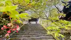 養父神社(兵庫県)