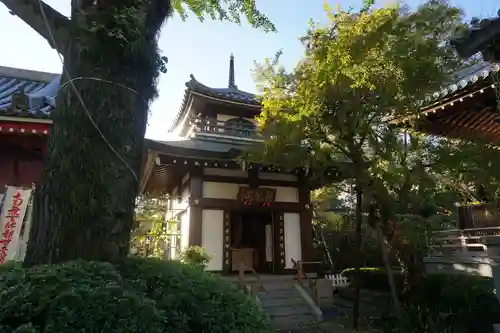 成願寺の山門・神門