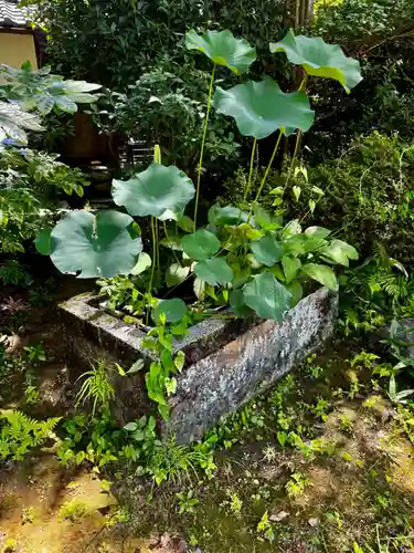 尊勝院(京都府)