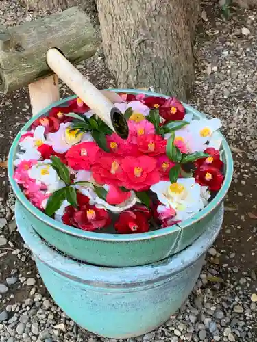 岩槻久伊豆神社(埼玉県)
