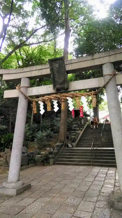 世田谷八幡宮の鳥居