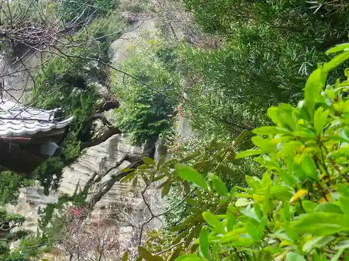 浄光明寺の自然