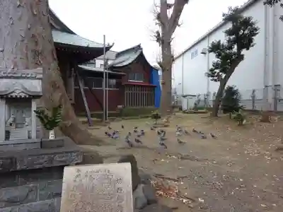 三島神社の動物