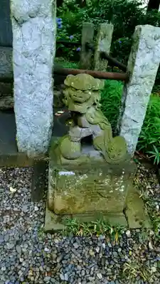 菊田神社の狛犬