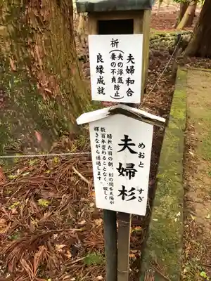 若狭彦神社（上社）(福井県)