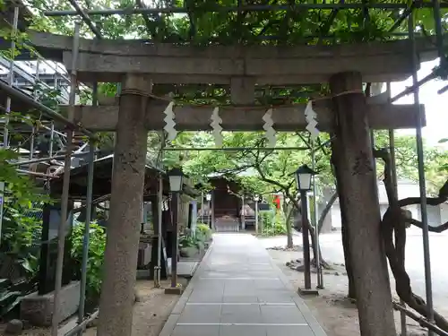 千住本氷川神社の鳥居