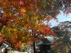 普門寺(切り絵御朱印発祥の寺)の自然