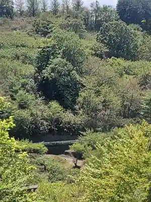 矢背負稲荷神社(群馬県)