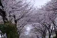 白笹稲荷神社(神奈川県)