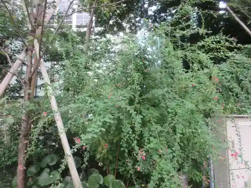 西久保八幡神社(東京都)