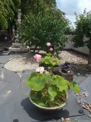 荘厳寺(岐阜県)