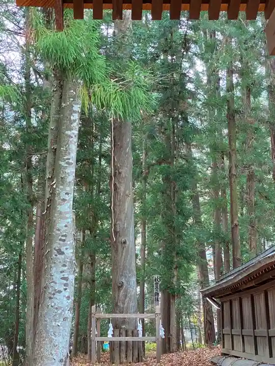 諏訪大社下社秋宮のその他建物