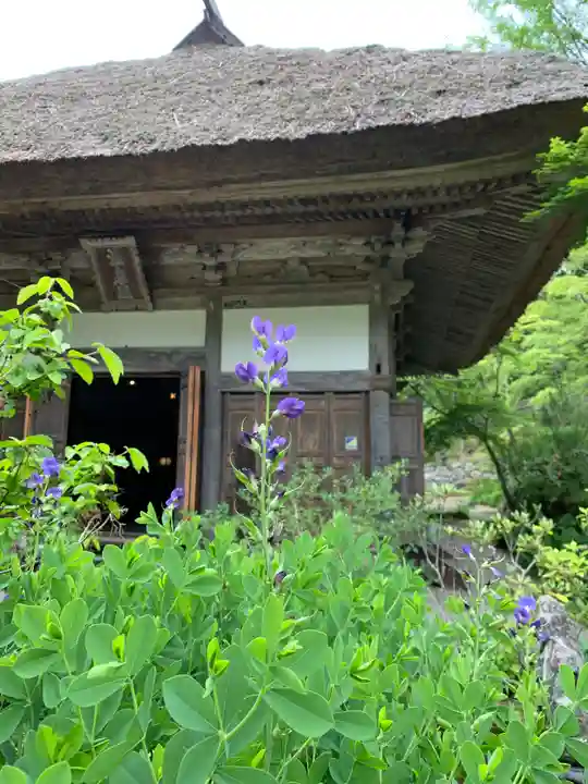 青龍山 吉祥寺のその他建物