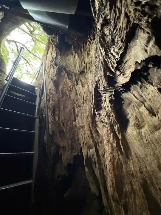 熊野那智大社の{uncategorized: "未分類", other: "その他", undefined: "問題あり", building: "その他建物", grave: "お墓", sacred_gate: "鳥居", guardian: "狛犬", statue: "像", buddha: "仏像", history: "歴史", nature: "自然", garden: "庭園", animal: "動物", pagoda: "塔", temizu: "手水舎", mountain_gate: "山門・神門", sanctuary: "本殿・本堂", subordinate: "末社・摂社", art: "芸術", scenery: "景色", jizo: "地蔵", ema: "絵馬", goshuin: "御朱印", omikuji: "おみくじ", items: "授与品その他", amulet: "お守り", goshuincho: "御朱印帳", eats: "食事", festival: "お祭り", votive_dance: "神楽", shichigosan: "七五三参", wedding: "結婚式", experience: "体験その他", initially: "初詣", around: "周辺", anti_infection: "感染症対策"}