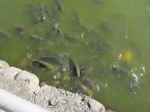 大瀬神社(静岡県)