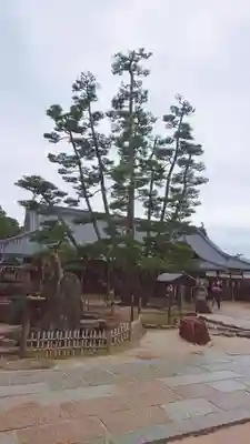 大願寺のその他建物