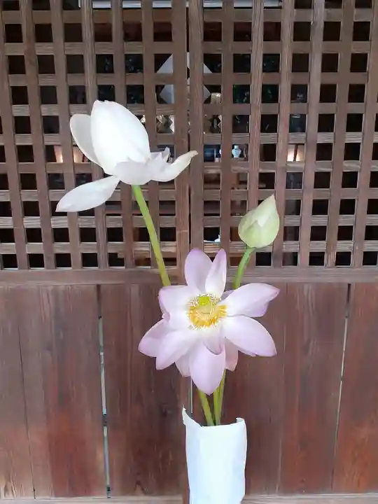 伏木香取神社の自然