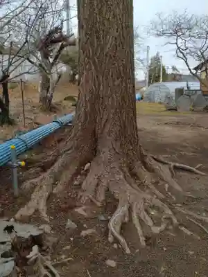 石神社(宮城県)