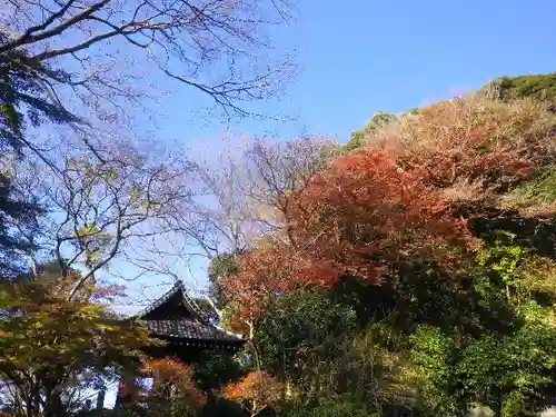 妙本寺の景色