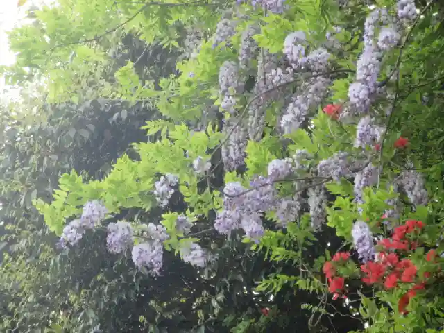 英勝寺(神奈川県)