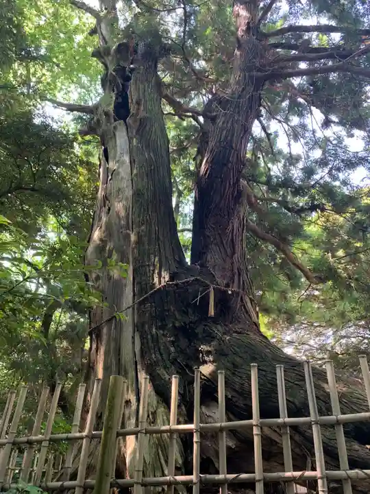 宝珠院観音堂(千葉県)