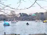 寛永寺不忍池弁天堂の周辺