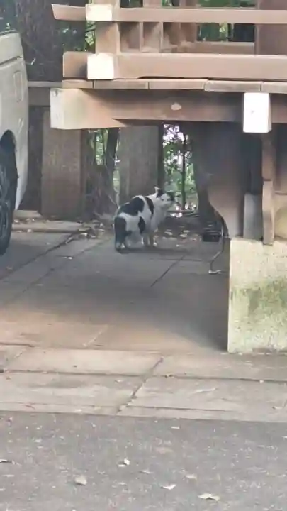 渋谷氷川神社の{uncategorized: "未分類", other: "その他", undefined: "問題あり", building: "その他建物", grave: "お墓", sacred_gate: "鳥居", guardian: "狛犬", statue: "像", buddha: "仏像", history: "歴史", nature: "自然", garden: "庭園", animal: "動物", pagoda: "塔", temizu: "手水舎", mountain_gate: "山門・神門", sanctuary: "本殿・本堂", subordinate: "末社・摂社", art: "芸術", scenery: "景色", jizo: "地蔵", ema: "絵馬", goshuin: "御朱印", omikuji: "おみくじ", items: "授与品その他", amulet: "お守り", goshuincho: "御朱印帳", eats: "食事", festival: "お祭り", votive_dance: "神楽", shichigosan: "七五三参", wedding: "結婚式", experience: "体験その他", initially: "初詣", around: "周辺", anti_infection: "感染症対策"}