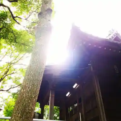 白髭神社のその他建物