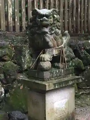阿射加神社の狛犬