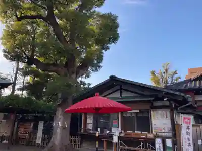 お三の宮日枝神社のその他建物
