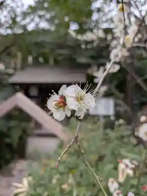阿佐ヶ谷神明宮(東京都)