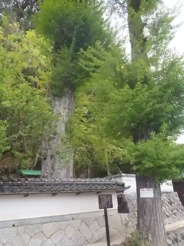 天神社(愛知県)