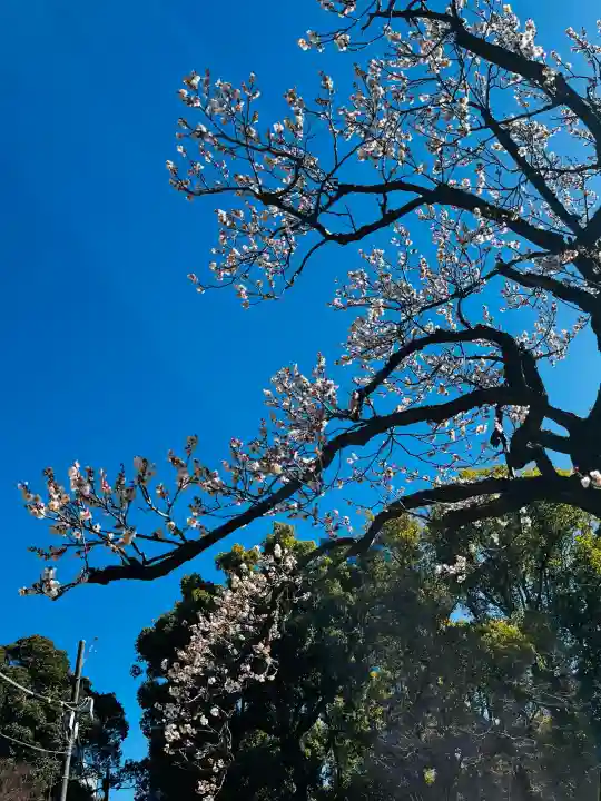 芝東照宮の{uncategorized: "未分類", other: "その他", undefined: "問題あり", building: "その他建物", grave: "お墓", sacred_gate: "鳥居", guardian: "狛犬", statue: "像", buddha: "仏像", history: "歴史", nature: "自然", garden: "庭園", animal: "動物", pagoda: "塔", temizu: "手水舎", mountain_gate: "山門・神門", sanctuary: "本殿・本堂", subordinate: "末社・摂社", art: "芸術", scenery: "景色", jizo: "地蔵", ema: "絵馬", goshuin: "御朱印", omikuji: "おみくじ", items: "授与品その他", amulet: "お守り", goshuincho: "御朱印帳", eats: "食事", festival: "お祭り", votive_dance: "神楽", shichigosan: "七五三参", wedding: "結婚式", experience: "体験その他", initially: "初詣", around: "周辺", anti_infection: "感染症対策"}
