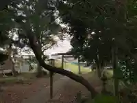 淡島神社の鳥居