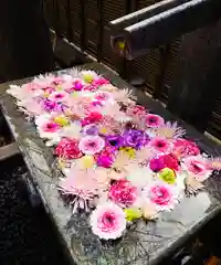 永代寺の手水