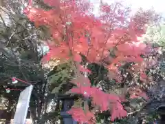 富知六所浅間神社の自然