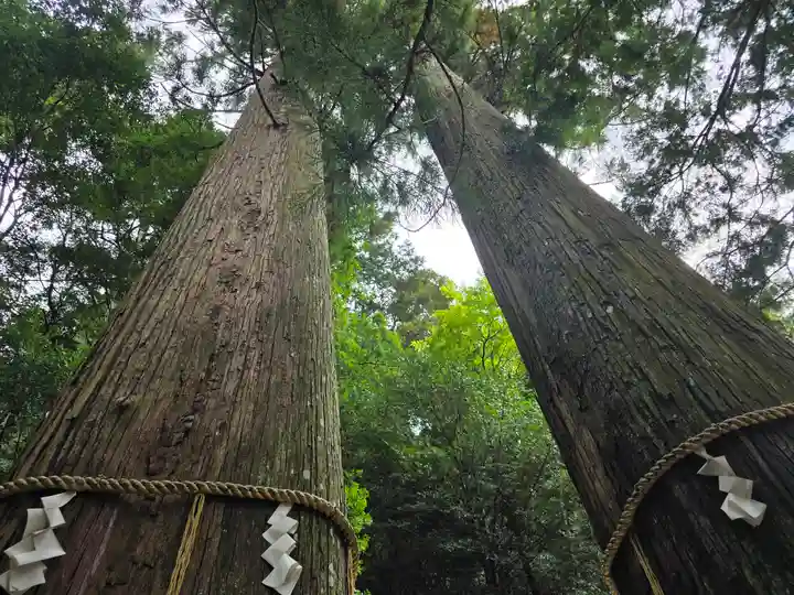 丹生川上神社(中社)(奈良県)